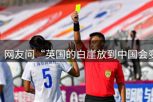 网友问“英国的白崖放到中国会变成什么样的景区？” AI生成的图片太真实了，评论区也是满级嘲讽！